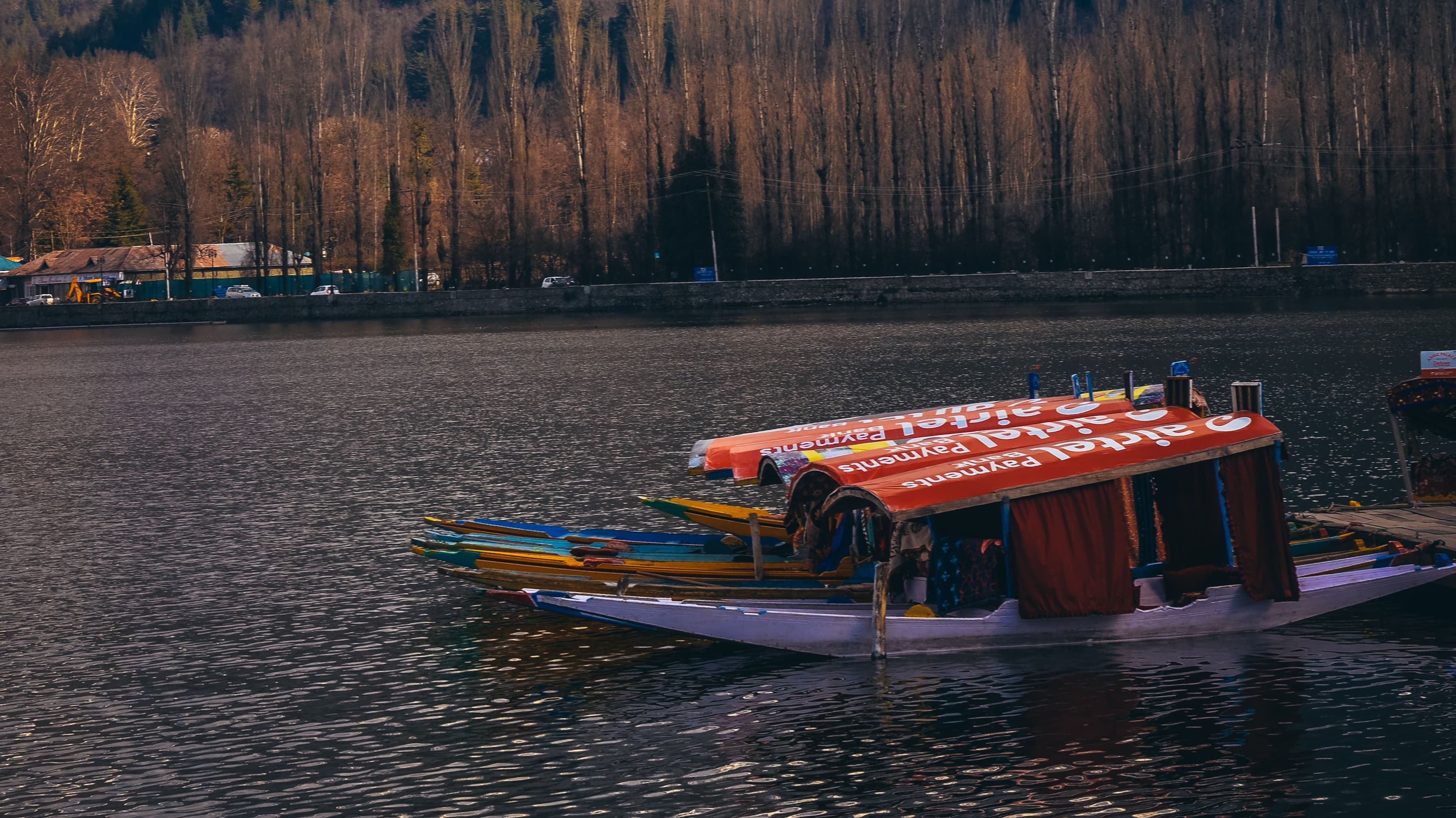Magical Kashmir Getaway - Gallery Image 8
