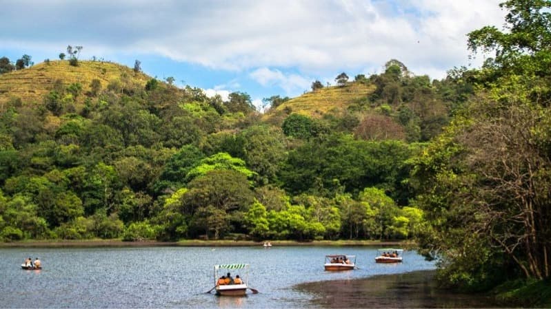 BUDGET WAYANAD - Gallery Image 5