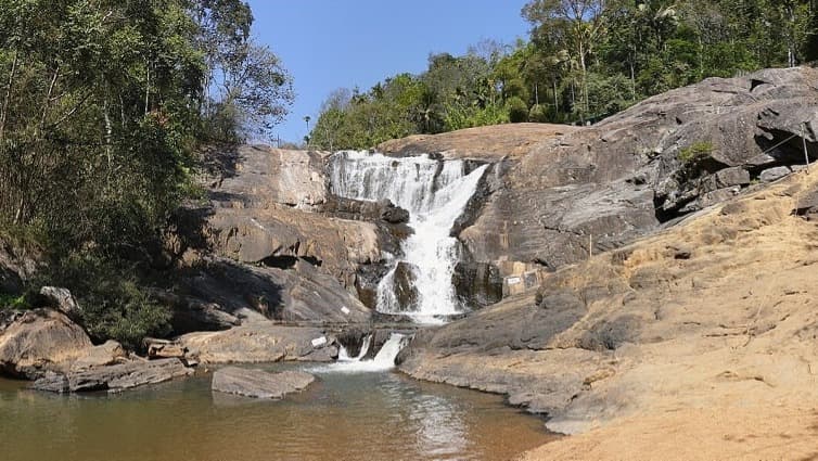 RELAXING WAYANAD - Gallery Image 6
