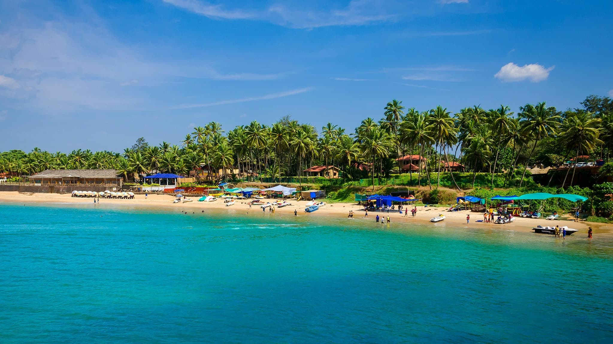 GOA - Gallery Image 2