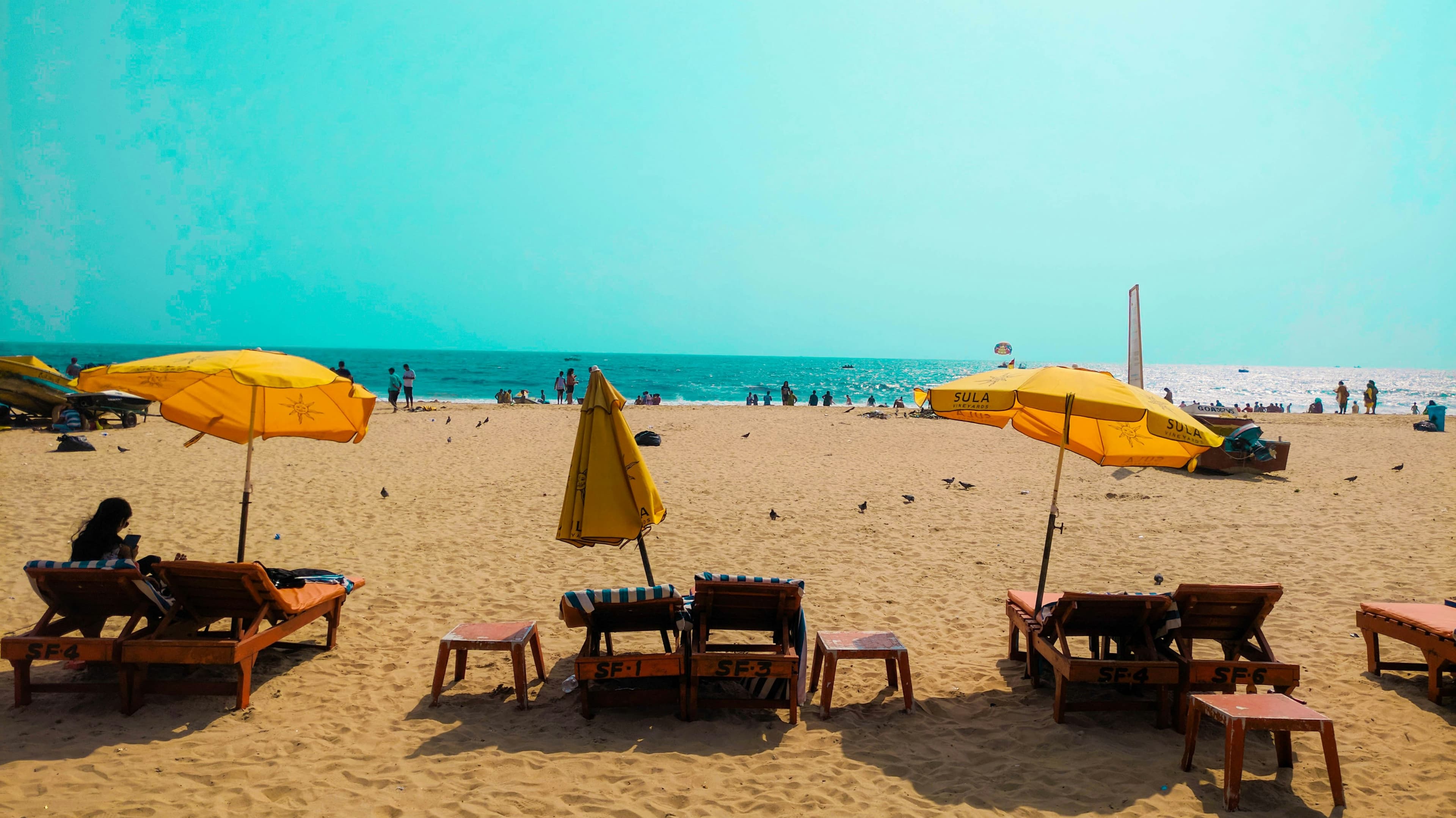 GOA - Gallery Image 7