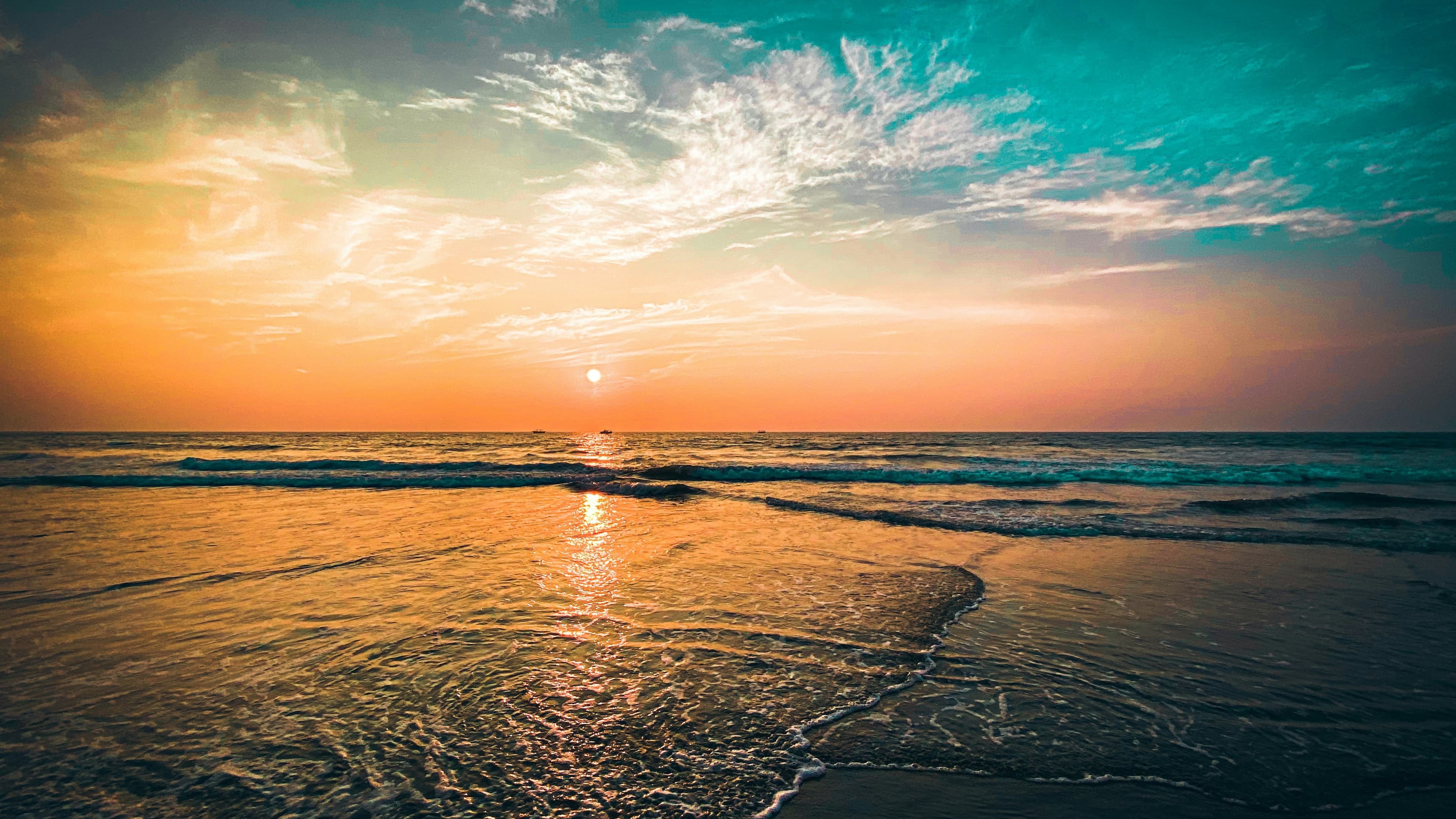 GOA - Gallery Image 10