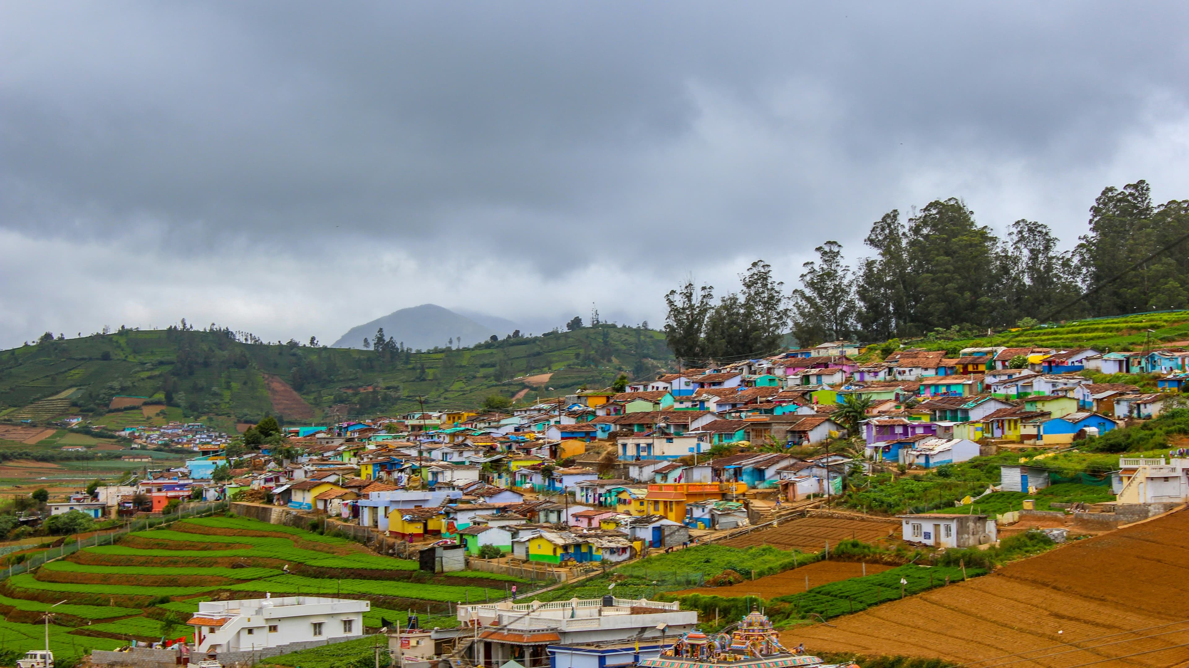 OOTY - Gallery Image 4