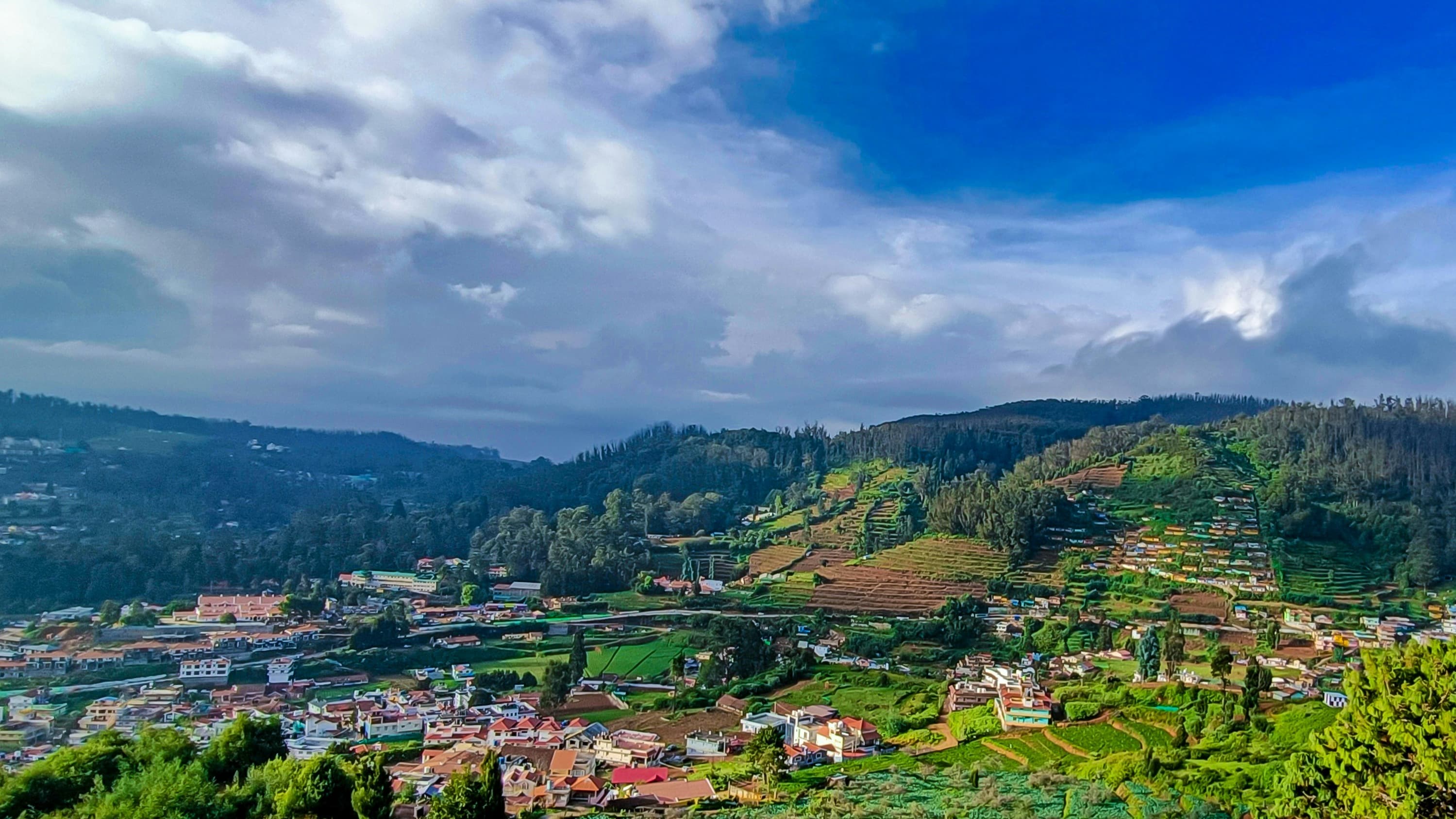 OOTY - Gallery Image 5