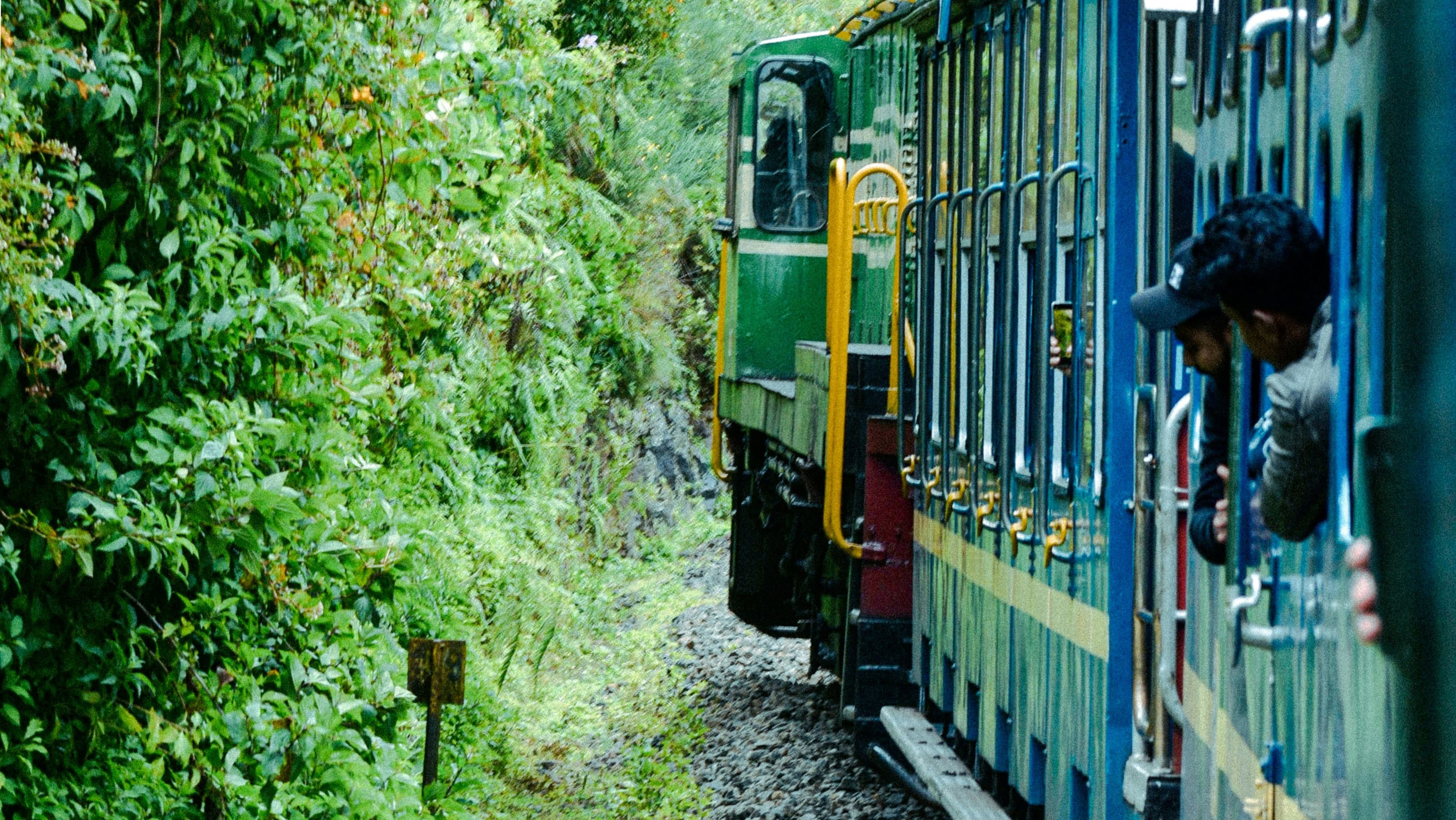 OOTY - Gallery Image 6