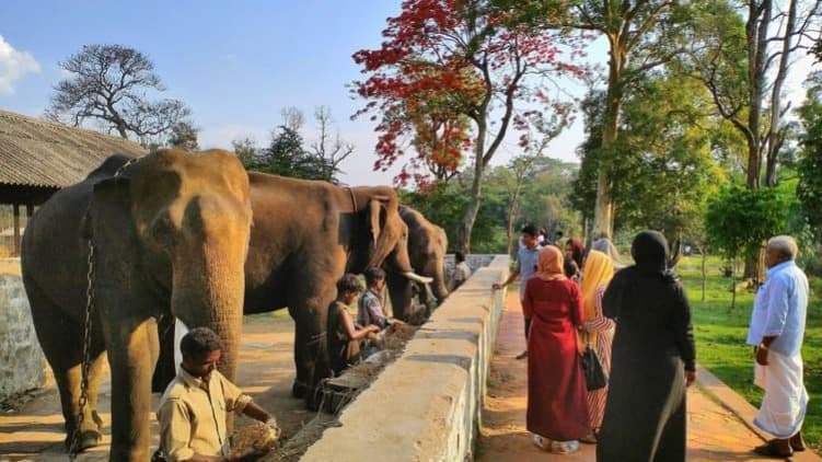 COORG - Gallery Image 2