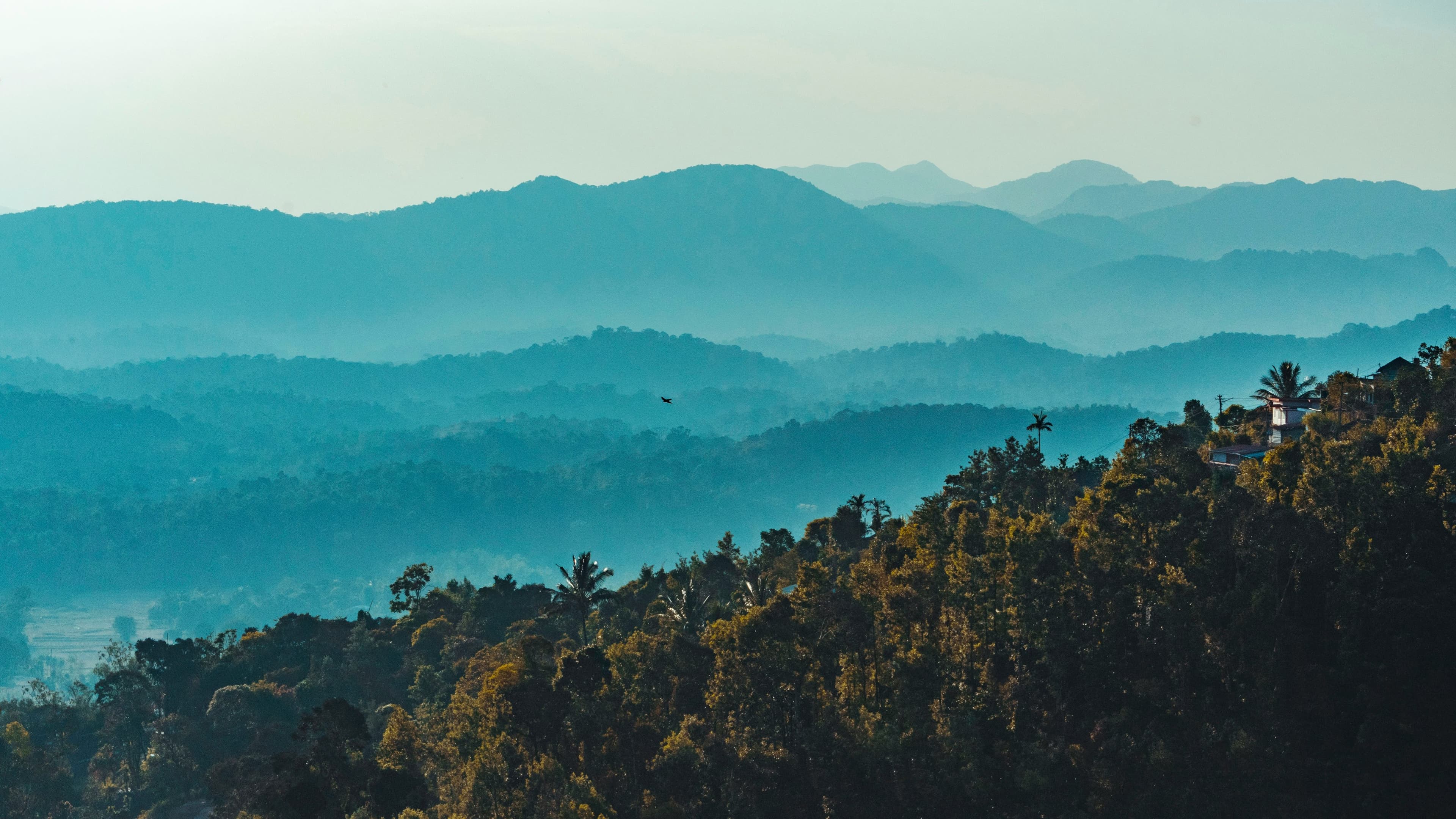 COORG - Gallery Image 3