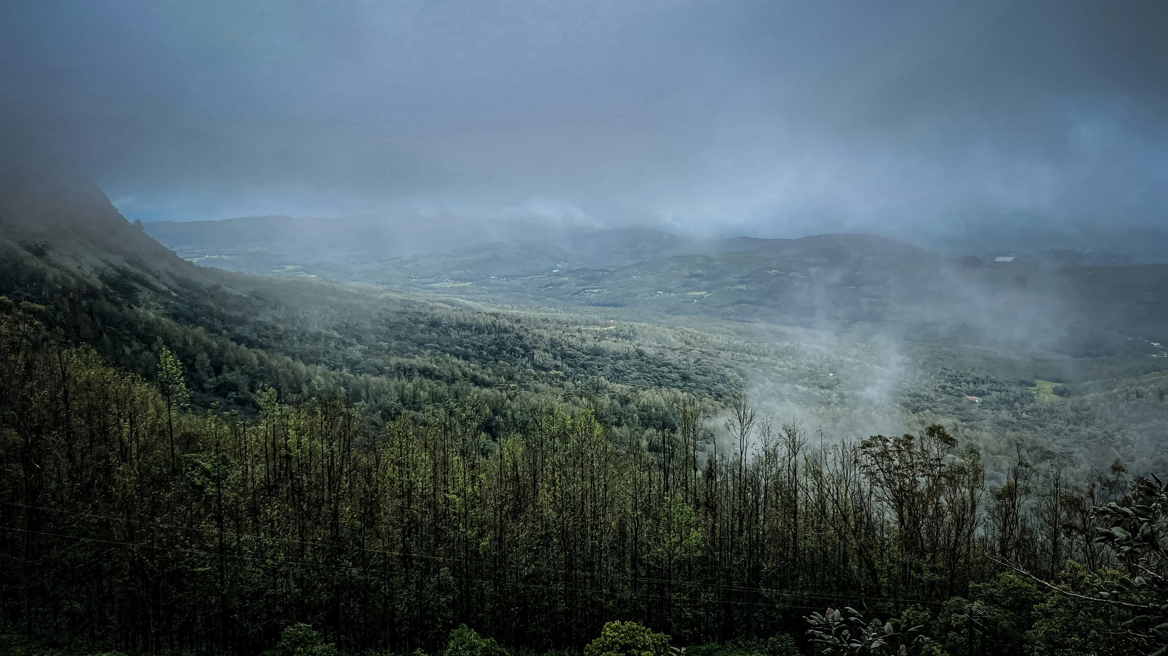 COORG - Gallery Image 4