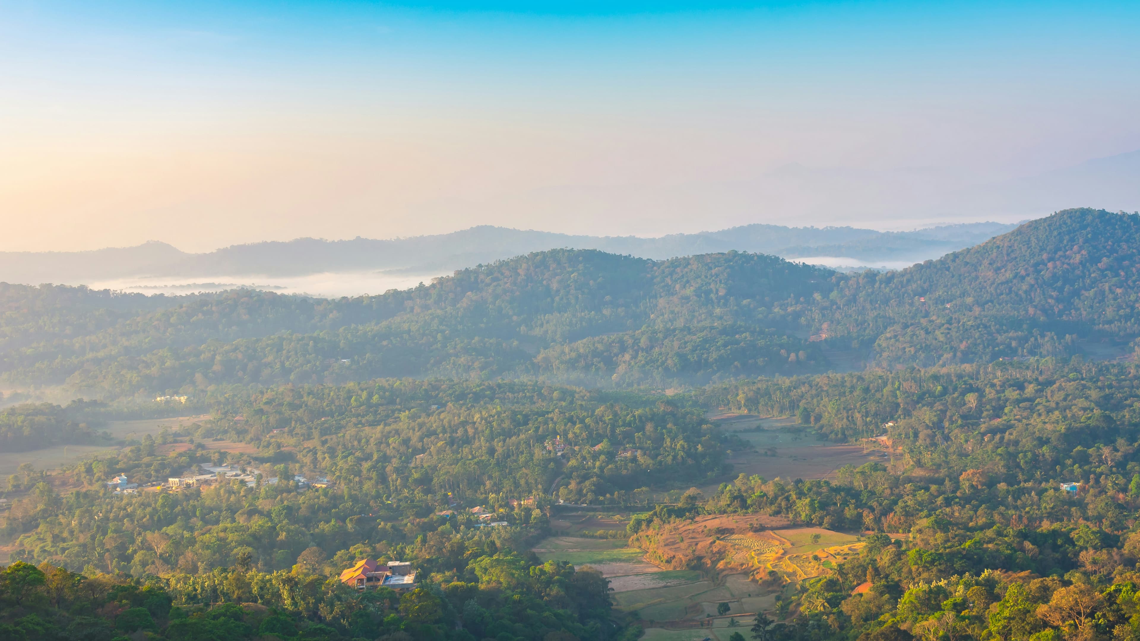 COORG - Gallery Image 7